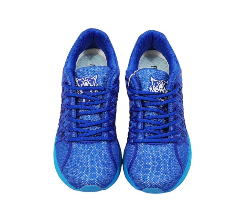 Plein Sport Lady Sneaker Blue